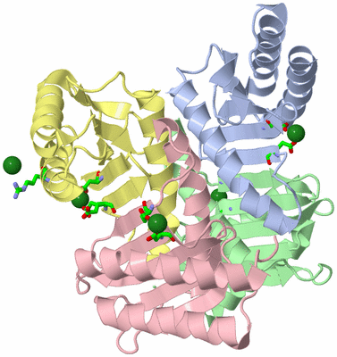 Image Asym. Unit - sites