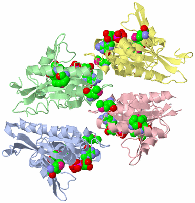 Image Asymmetric Unit