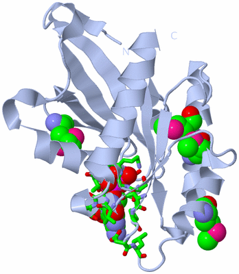 Image Biol. Unit 1 - sites