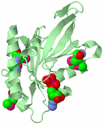 Image Biological Unit 2