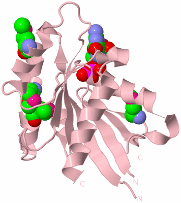 Image Biological Unit 3