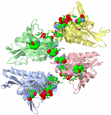 Image Asym. Unit - sites