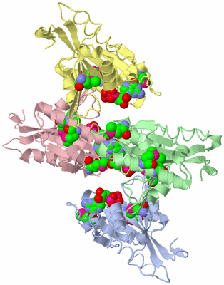 Image Asymmetric Unit