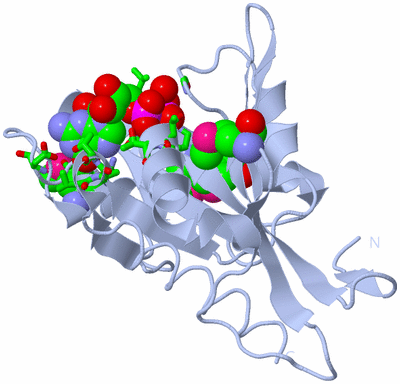 Image Biol. Unit 1 - sites
