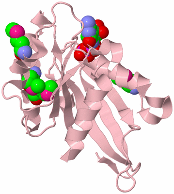 Image Biological Unit 3