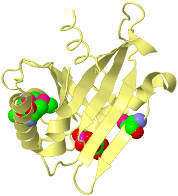 Image Biological Unit 4