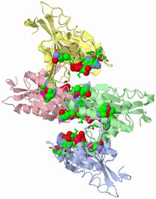 Image Asym. Unit - sites
