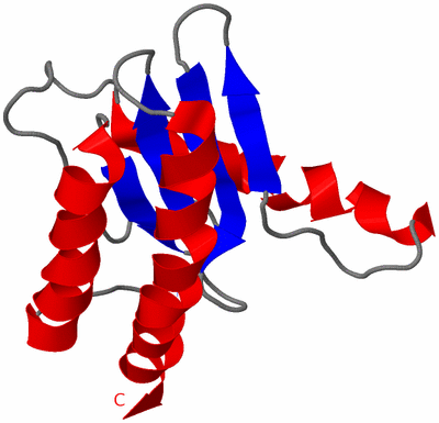 Image Asymmetric Unit
