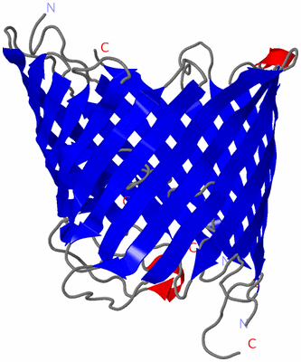 Image Asymmetric Unit