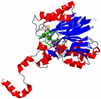 Image Asym. Unit - sites