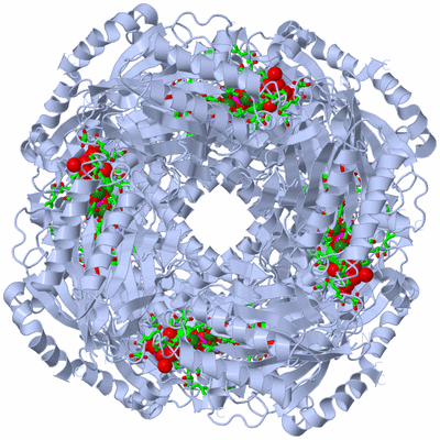 Image Biol. Unit 1 - sites