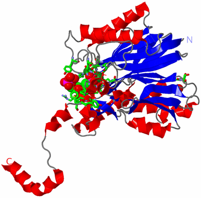 Image Asym. Unit - sites