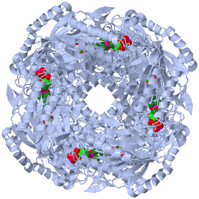 Image Biological Unit 1