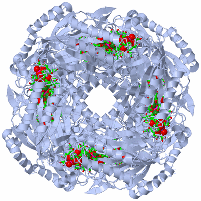 Image Biol. Unit 1 - sites