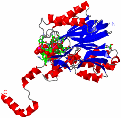 Image Asym. Unit - sites