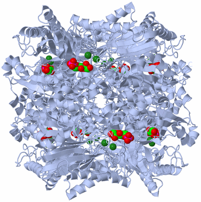 Image Biological Unit 1