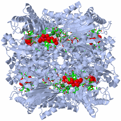 Image Biol. Unit 1 - sites