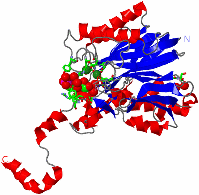 Image Asym. Unit - sites