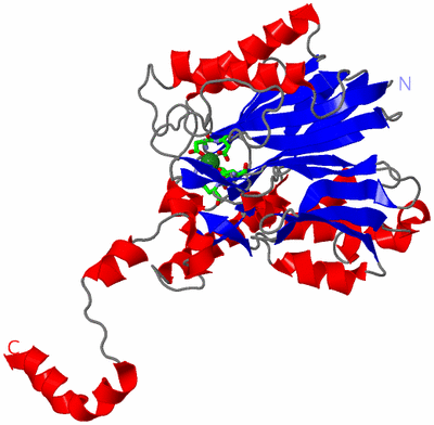 Image Asym. Unit - sites