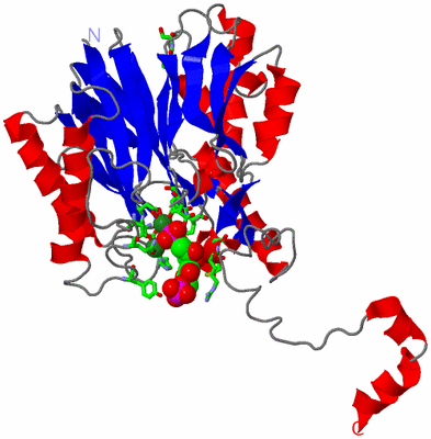 Image Asym. Unit - sites