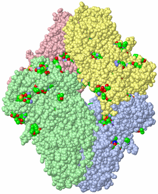 Image Asym./Biol. Unit - sites