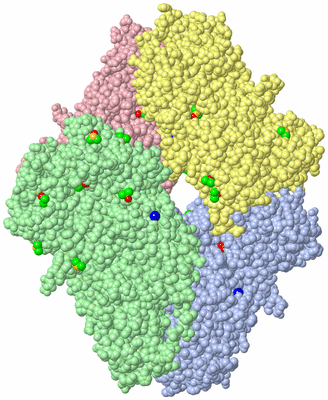 Image Asym./Biol. Unit