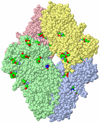 Image Asym./Biol. Unit - sites