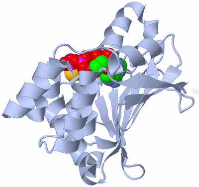 Image Biological Unit 1