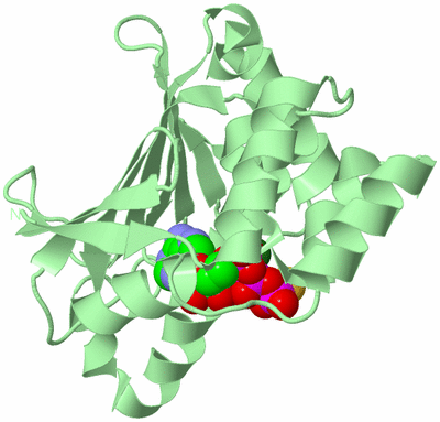 Image Biological Unit 2