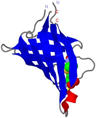 Image Asymmetric Unit