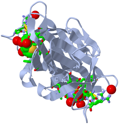 Image Biol. Unit 1 - sites