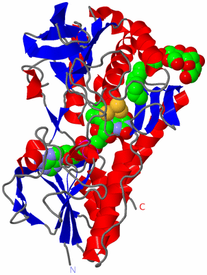 Image Asym./Biol. Unit