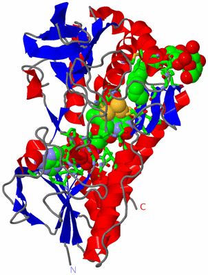 Image Asym./Biol. Unit - sites