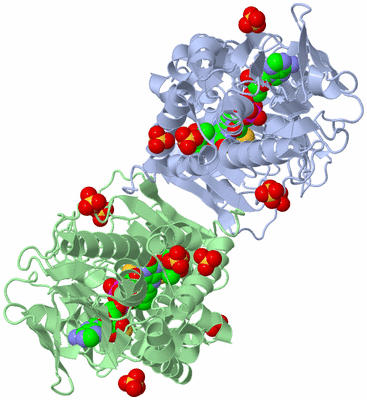 Image Asym./Biol. Unit