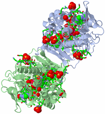 Image Asym./Biol. Unit - sites