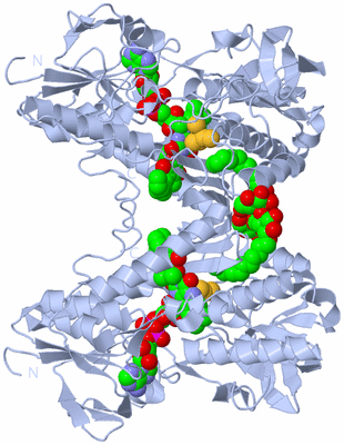 Image Biological Unit 1