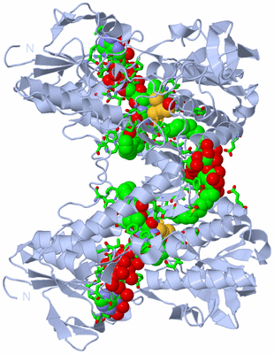 Image Biol. Unit 1 - sites