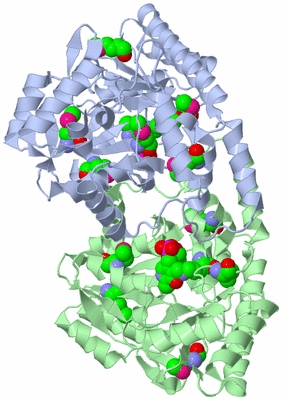 Image Asym./Biol. Unit