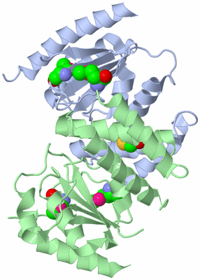 Image Asym./Biol. Unit