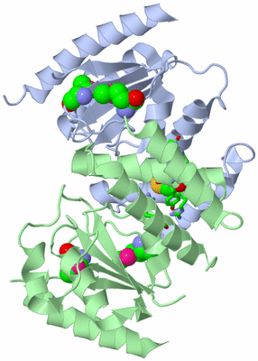 Image Asym./Biol. Unit - sites