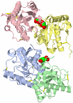 Image Asym./Biol. Unit