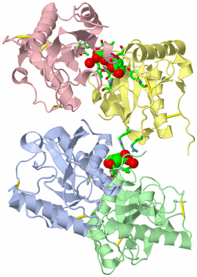 Image Asym./Biol. Unit - sites