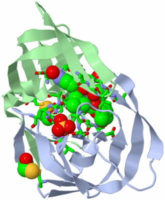 Image Asym./Biol. Unit - sites