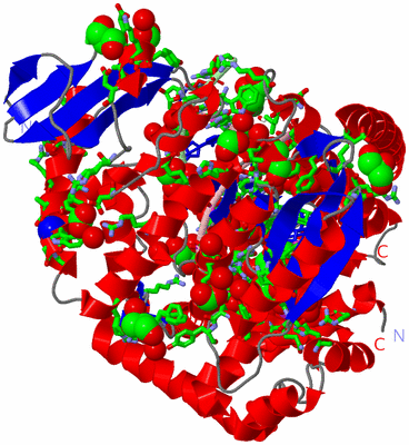 Image Asym./Biol. Unit - sites