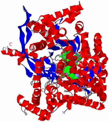 Image Asym. Unit - sites