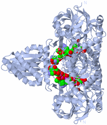 Image Biological Unit 1