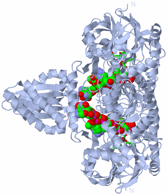 Image Biol. Unit 1 - sites