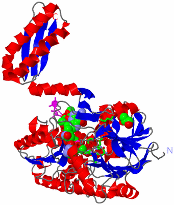 Image Asym. Unit - sites