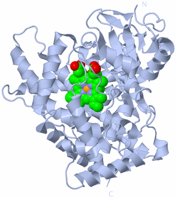 Image Biological Unit 1