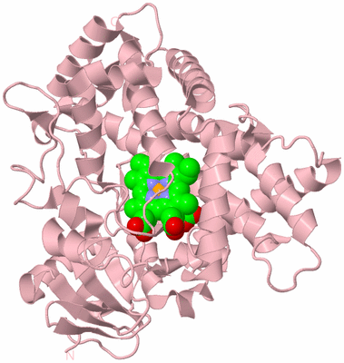 Image Biological Unit 3